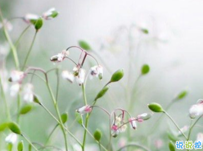 2019重阳节搞笑说说大全 重阳节朋友圈幽默祝福语配图10